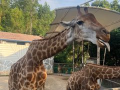 -泉州海丝野生动物世界