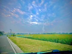 -中国天府农业博览园