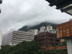 -香港大学