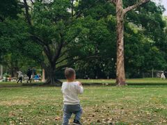 -华南国家植物园-售票处