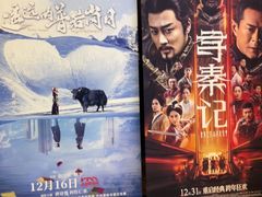 -寰映影城(朝阳合生汇杜比影院店)