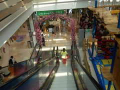 -紫荆广场·花漫里