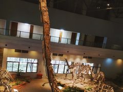 -自贡恐龙博物馆