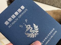 -申普宠物医院·心脏介入·心血管微创(总院)