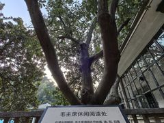 -滴水洞景区