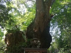 景点-来宫神社
