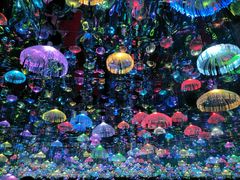-上海梵高星空艺术馆(南京路旗舰店)