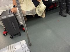 -会江钓鱼钓虾烧烤场