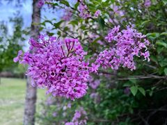 -长春公园(普阳街道)