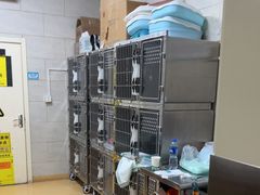 -瑞派天宁宠物医院·猫科·异宠中心