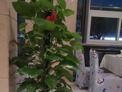 -大鸭梨烤鸭(房山店)