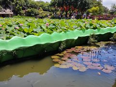 -广州莲花山旅游区