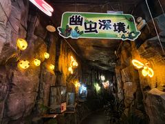 -正佳雨林生态植物园