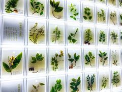 -广东中医药博物馆