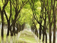 -永定河休闲森林公园