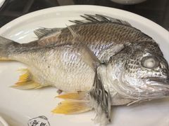 -吴记富苑(朝阳店)