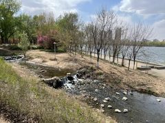 -长白岛森林公园