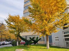 -北京邮电大学
