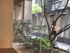 -锦城印象火锅(天府三街店)