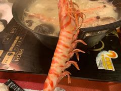 -鲜入围煮花胶鸡海鲜火锅