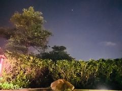 -森波拉奇妙世界