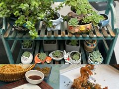 -后海16号·北京私房菜