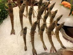 -海通1号(梅峰店)