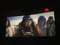 -枫花园汽车电影院(朝阳公园店)