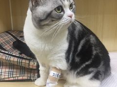 -美联众合动物医院·24h京西诊疗中心
