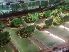 -百鱼庄(仙葫店)