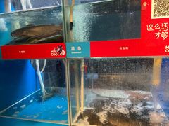 -鱼酷活鱼烤鱼(人信汇商场店)