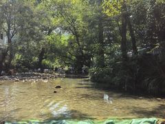 -郭洞古生态村