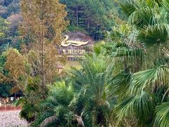 -宜春明月山维景国际温泉度假酒店
