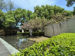 -九里云松·天香餐厅
