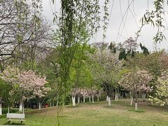 -堤角公园
