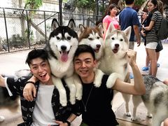 -TrueLove @ Neverland (Husky Cafe)