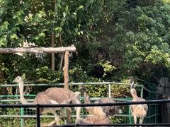 -南昌动物园