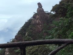 -菜当家