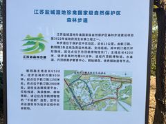 -盐城丹顶鹤湿地生态旅游区