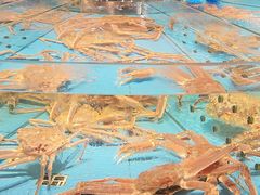 -渔傅·霞浦滩涂海鲜(建平店)