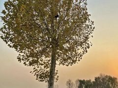 -安德鲁户外烧烤帐篷营地(马泉营店)