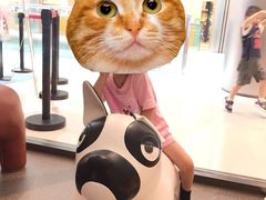 -BossBabe亲子餐厅(金光华广场店)