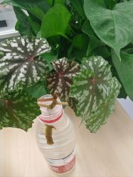 -北京新世纪儿童医院