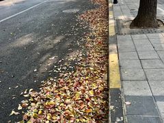 -虹口区工人文化宫