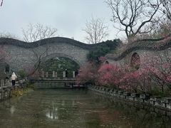 -朴园