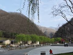 -牛背梁国家森林公园