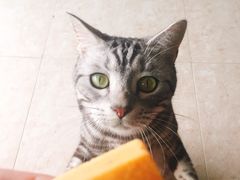 -家琳甜品(江南东店)