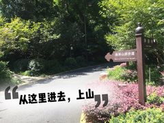 -九曜山