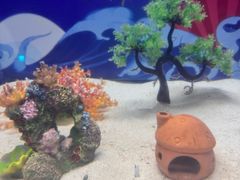 -烟台海昌鲸鲨海洋公园