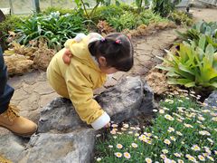 -南通洲际绿博园